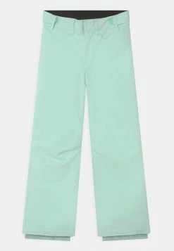 Roxy BACKYARD GIRL - Snow Pants - Fair Aqua