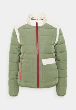 Roxy CRAZY FANTASY - Winter Jacket - Deep Lichen Green